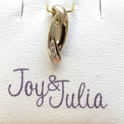 Bicolor Gouden hanger Joy & Julia zirkonia