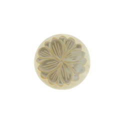 White flower shell